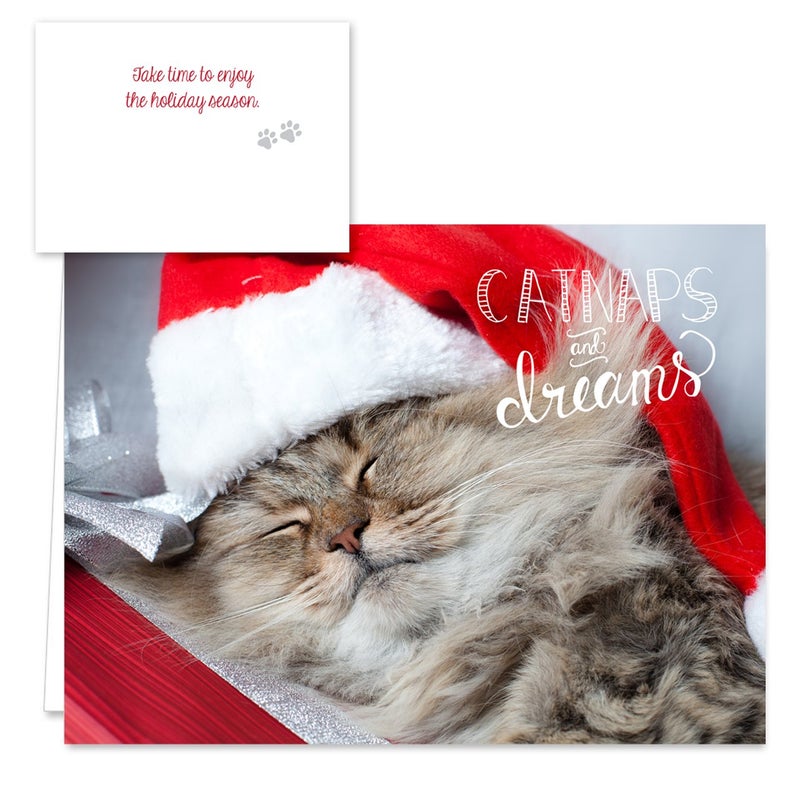 Canopy Street Christmas Cats Holiday Card Assortment Pack / 25 Seasonal Kitten Greeting Cards And Envelopes / 5 Sleeping Santa Animal Designs And Christmas Messages - Image 3